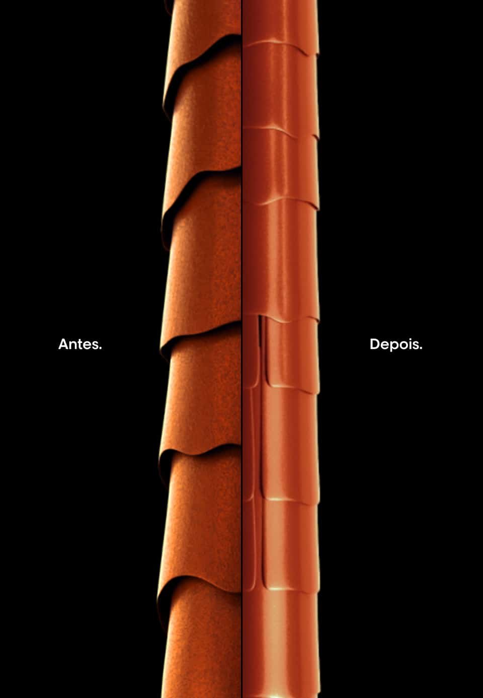 inoa raices
